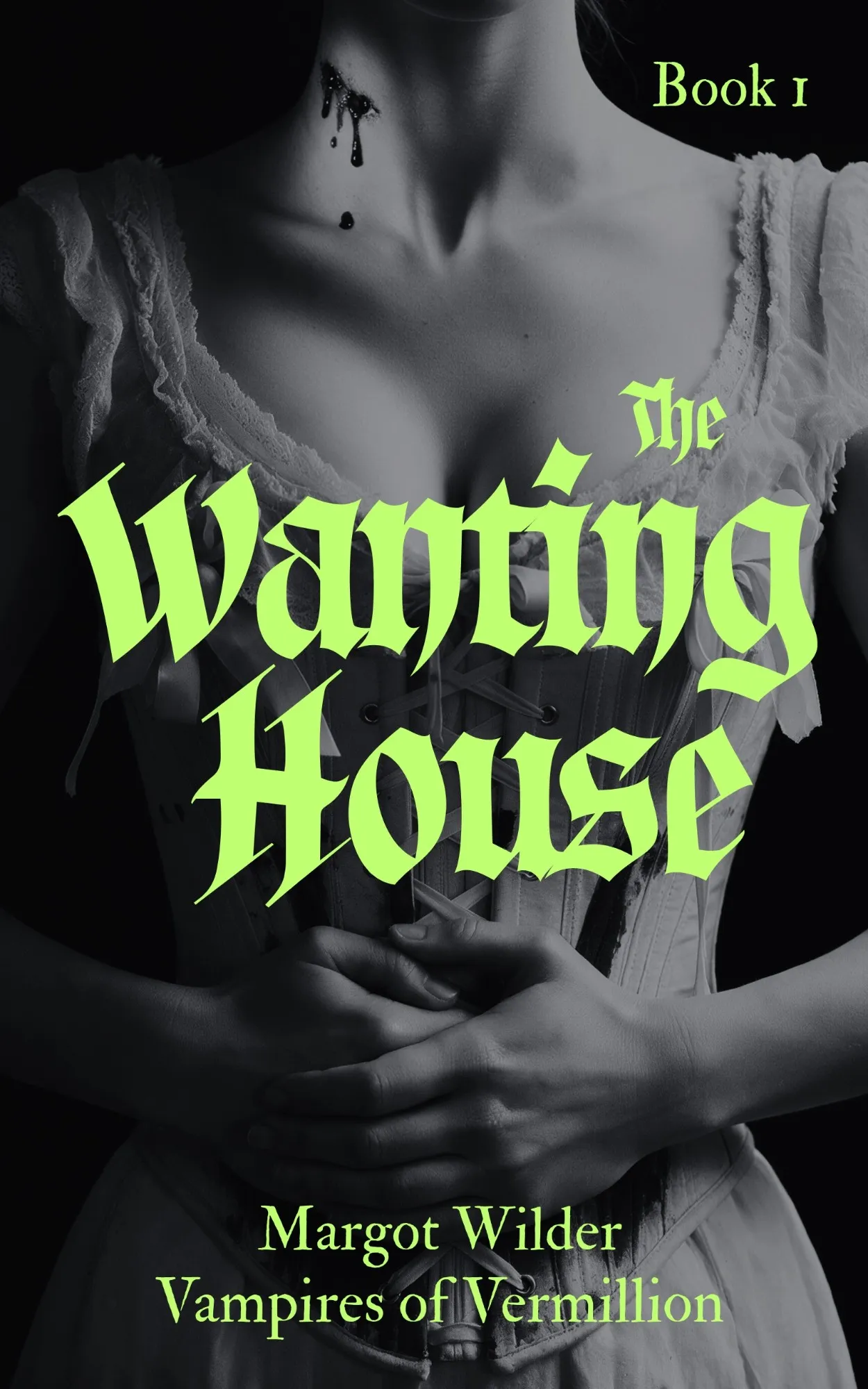 The Wanting House cover